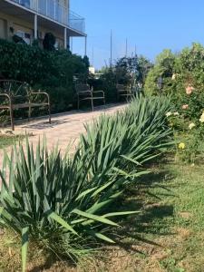 Заозёрный - 16