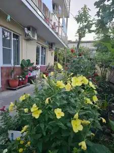 Любимый дворик - 60