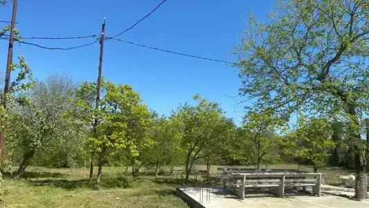 Retrit - 4
