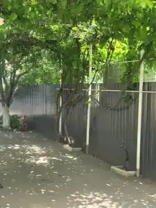 Анжелика - 0