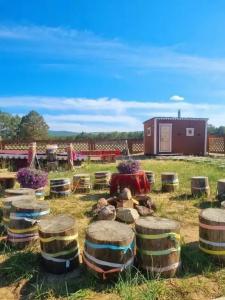 У Лукоморья - 9