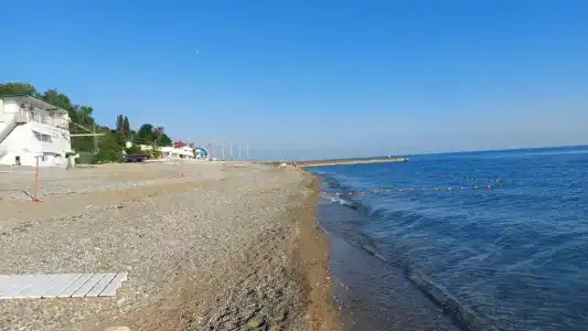 Бамбучок - 2