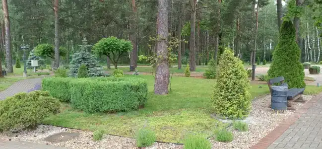 Лида Драйв Плюс - 12