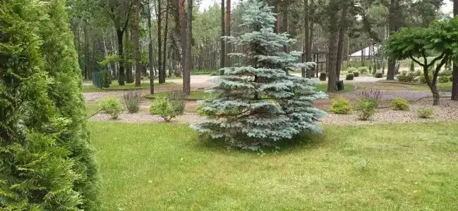 Лида Драйв Плюс - 11