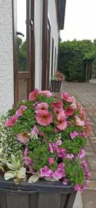 Лида Драйв Плюс - 14