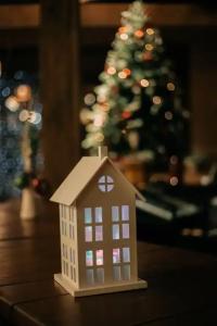 Лида Драйв Плюс - 21