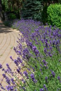 Лида Драйв Плюс - 13