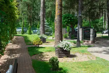 Лида Драйв Плюс - 10