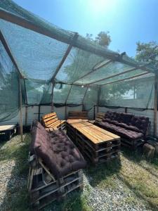 Pitsunda House - 22
