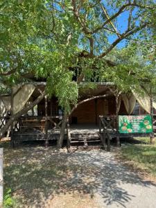 Pitsunda House - 26
