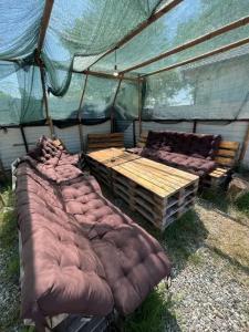 Pitsunda House - 31