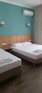 Дельмар - 6