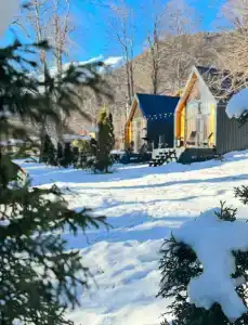 WoodVillas - 38