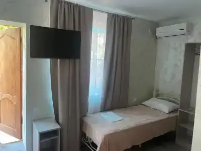 Vinograd - 4