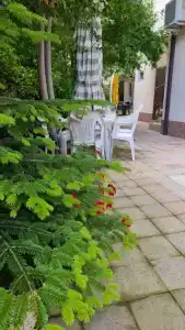 Олимпийский визит - 3