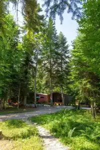 Forest House Resort - 16