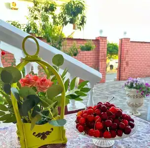 Арарат - 1