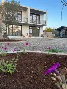 Olivia Resort - 2