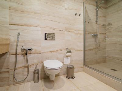 Премьер - 113