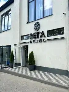 Вега - 1