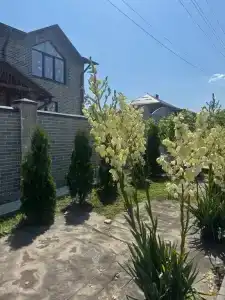 Гостевой дом на Светлой 2 - 4