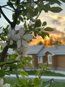 Казачий Хутор - 2