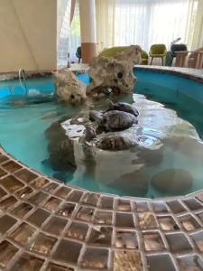 Крымские Зори - 4