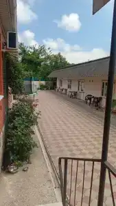 Николь - 9