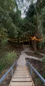 Flora Place - 1