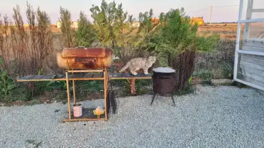 Мечта у моря - 3