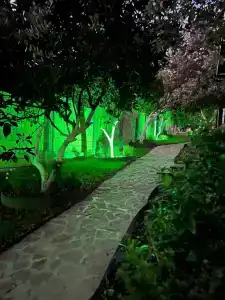 Флора - 7