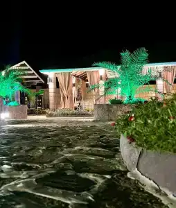 Флора - 12