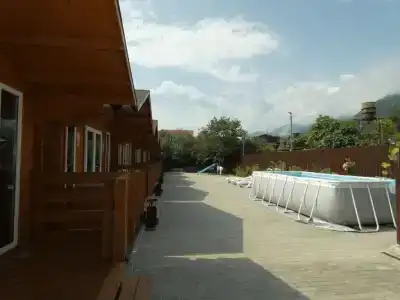 Лилия - 2
