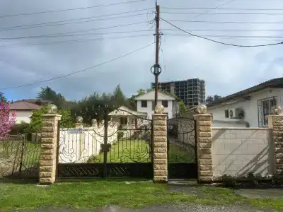 Алан - 2