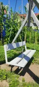 Феникс - 6