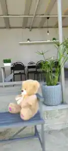 Феникс - 10