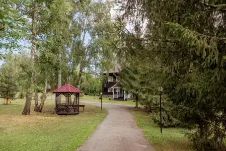 Березка - 13