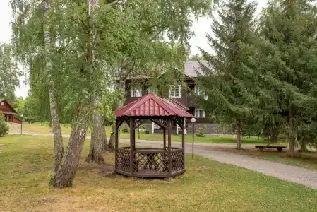 Березка - 17