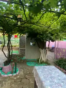 Семейный отдых - 8
