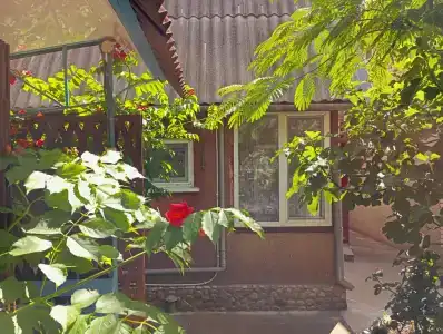 Семейный - 20