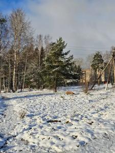 Мичуринское озеро - 130