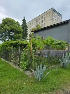 у Дамира - 13