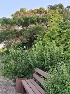 ВМысовом - 15