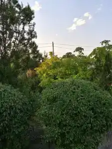 ВМысовом - 16