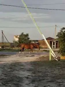 ВМысовом - 17