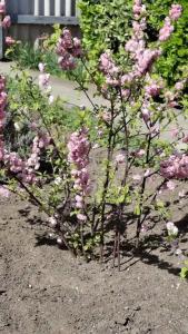 ВМысовом - 24