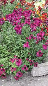 ВМысовом - 25