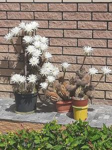 ВМысовом - 26