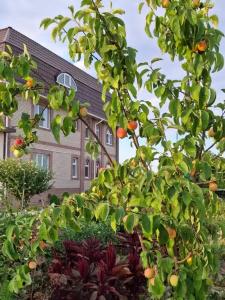 ВМысовом - 27