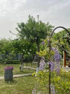 дом Relax in Adygea - 30